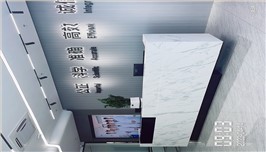 国机橡塑密封项目